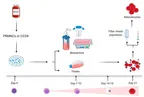 Novel laboratory grown blood vs Naturally synthesized type: which is better? thumbnail