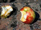 Wait, the remnant of your apple changed colour to rusty brown; Ever cared to know why? thumbnail