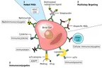 Latest ground breaking findings from Cancer studies thus far; There is hope for our generation thumbnail