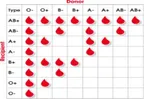 Blood group O is not a universal Donor; why? thumbnail