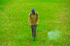 The ruins of pesticides in nature and our environment; Are we doomed? thumbnail