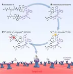 The Pharmacodynamics of drugs - drug actions on biological system thumbnail