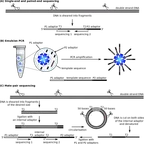 Big Data and Bioinformatics: where we are on Omics technology thumbnail