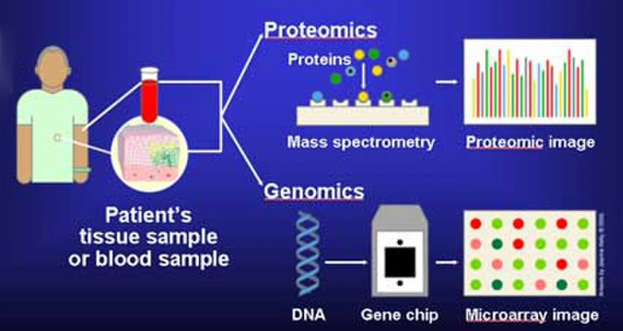 Molecular_Diagnostics.jpg