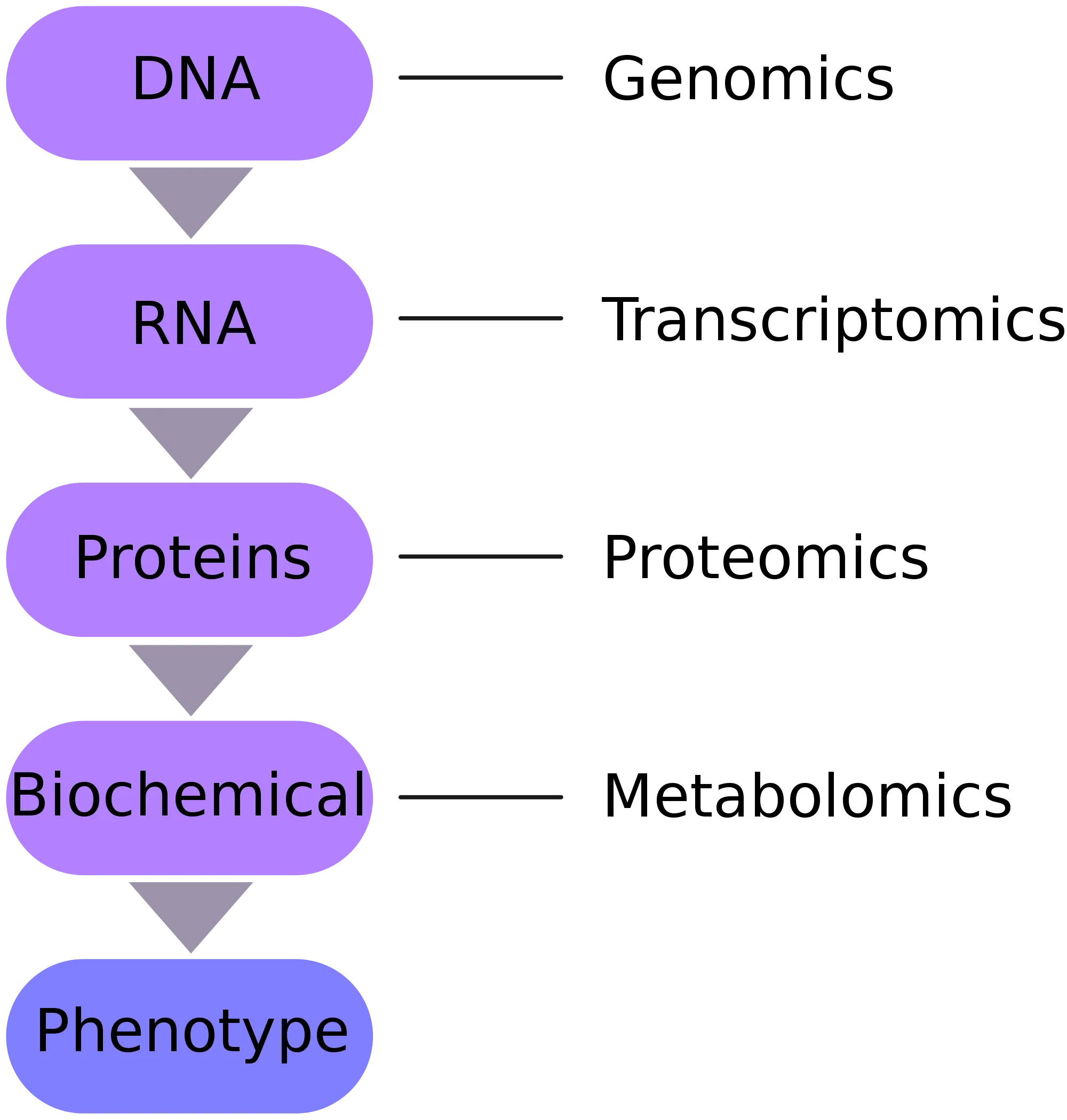 2000px-Omics-en.svg.png