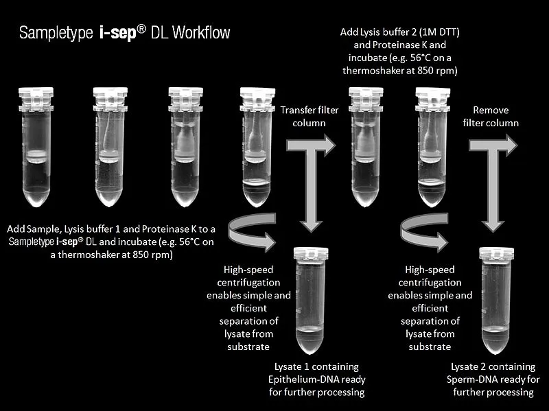 800px-Differential_lysis_in_a_single-tube_extraction_process_for_accurate_forensic_profiling.jpg