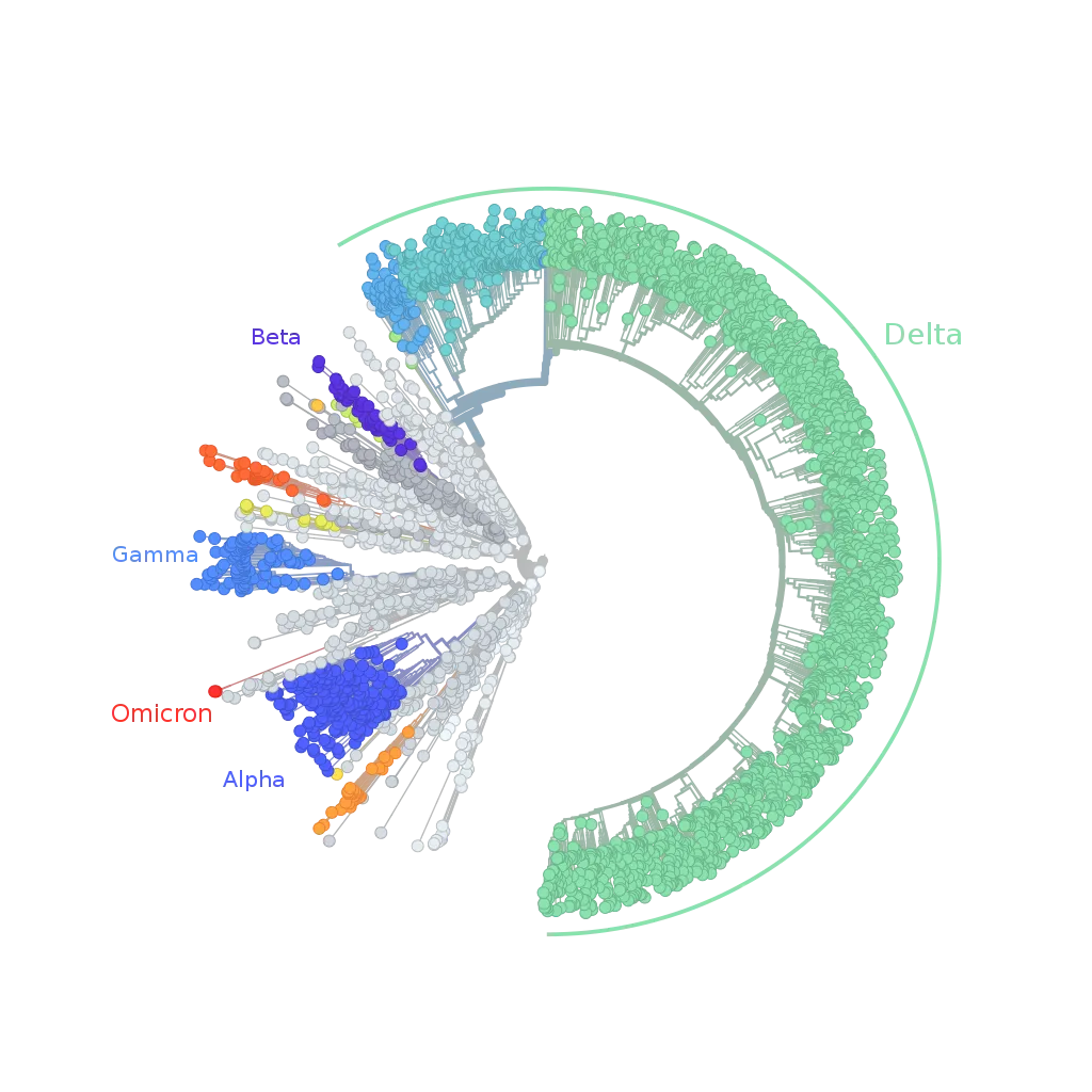 Omicron_SARS-CoV-2_radial_tree_2021-Nov-26.svg (1).png