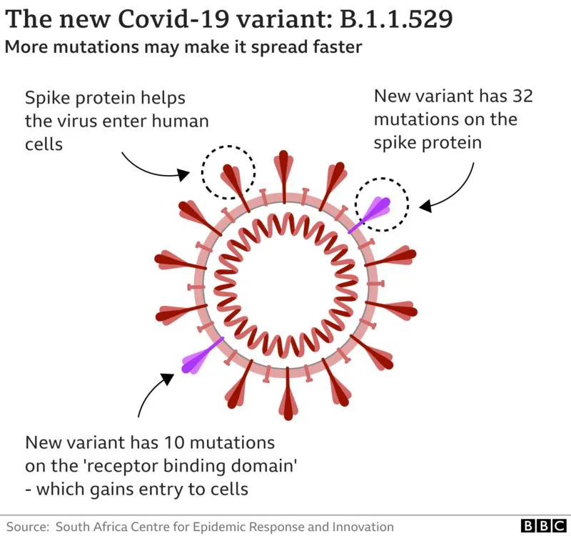 _121831038_corona_variant_b11529_v2_2x640-nc-004.png