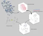 The Advent of automated molecular reconfiguration and likely remodification in the paradigm of drug discovery and development thumbnail