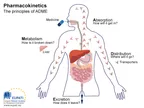 Exhaustive insight into the concept of pharmacokinetics - How your body deal with drugs thumbnail