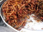 Original Research: Investigating The Therapeutic potential of Locally Consumed Grasshopper in Abuja, Nigeria,  against Arthritis disease thumbnail